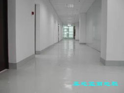 深圳建材市场新风向 聚焦无尘室与车间地坪解决方案